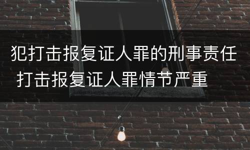 犯打击报复证人罪的刑事责任 打击报复证人罪情节严重