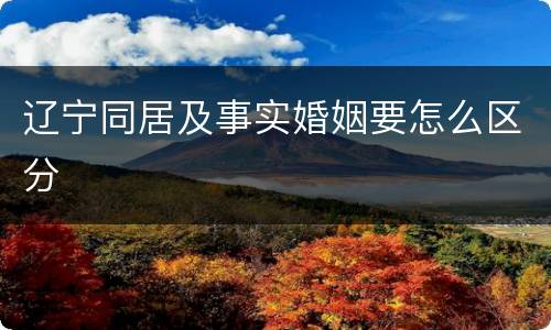 辽宁同居及事实婚姻要怎么区分