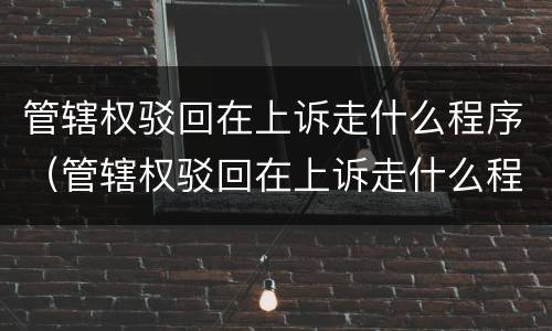 管辖权驳回在上诉走什么程序（管辖权驳回在上诉走什么程序进行）