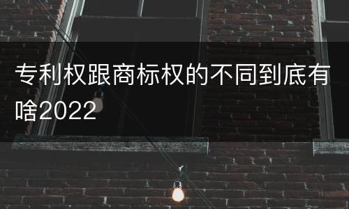 专利权跟商标权的不同到底有啥2022