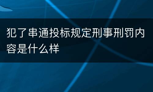 犯了串通投标规定刑事刑罚内容是什么样