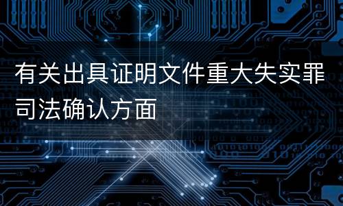 有关出具证明文件重大失实罪司法确认方面