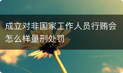 成立对非国家工作人员行贿会怎么样量刑处罚