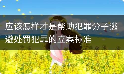 应该怎样才是帮助犯罪分子逃避处罚犯罪的立案标准