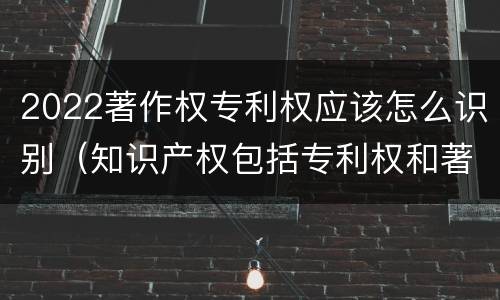 2022著作权专利权应该怎么识别（知识产权包括专利权和著作权吗）