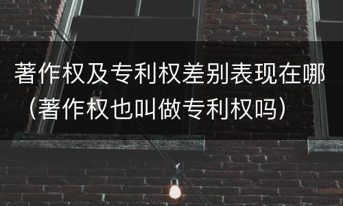 著作权及专利权差别表现在哪（著作权也叫做专利权吗）