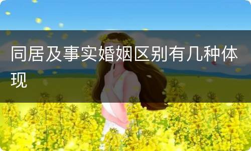 同居及事实婚姻区别有几种体现
