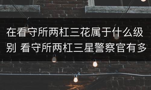 在看守所两杠三花属于什么级别 看守所两杠三星警察官有多大