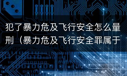 犯了暴力危及飞行安全怎么量刑（暴力危及飞行安全罪属于什么犯）