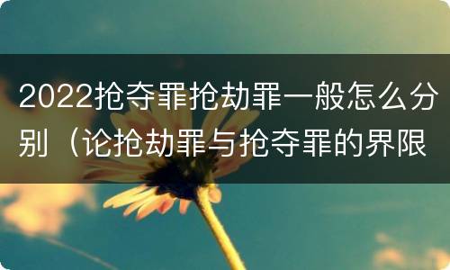 2022抢夺罪抢劫罪一般怎么分别（论抢劫罪与抢夺罪的界限）