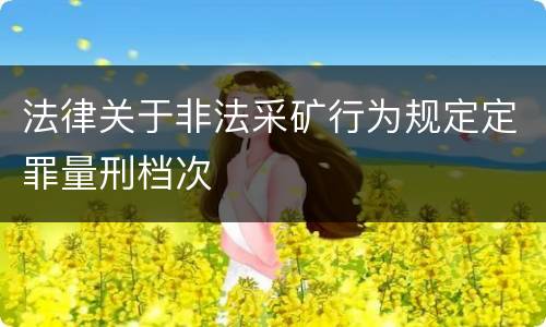 法律关于非法采矿行为规定定罪量刑档次