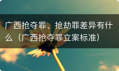 广西抢夺罪、抢劫罪差异有什么（广西抢夺罪立案标准）