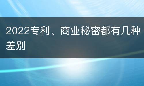 2022专利、商业秘密都有几种差别