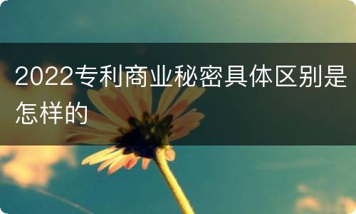 2022专利商业秘密具体区别是怎样的