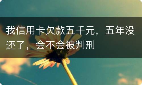 我信用卡欠款五千元，五年没还了，会不会被判刑