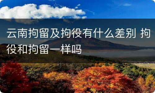 云南拘留及拘役有什么差别 拘役和拘留一样吗