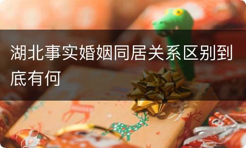 湖北事实婚姻同居关系区别到底有何