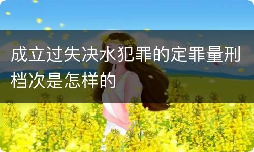 成立过失决水犯罪的定罪量刑档次是怎样的
