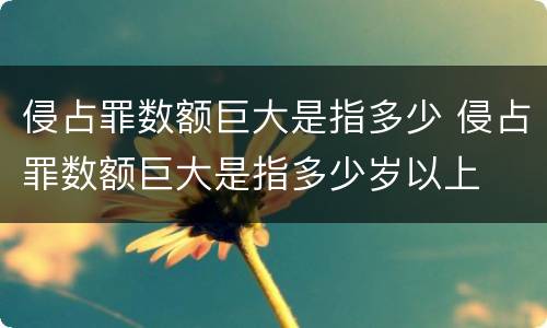 侵占罪数额巨大是指多少 侵占罪数额巨大是指多少岁以上