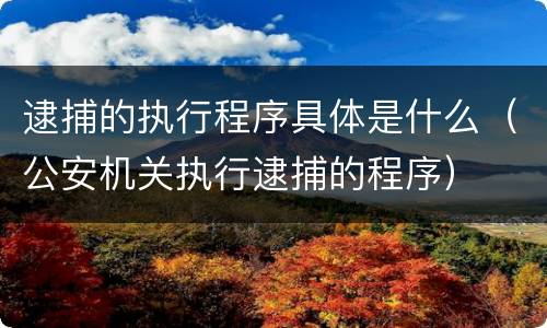 逮捕的执行程序具体是什么（公安机关执行逮捕的程序）