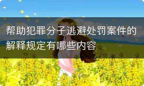 帮助犯罪分子逃避处罚案件的解释规定有哪些内容