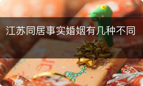 江苏同居事实婚姻有几种不同