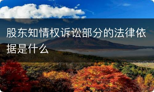 股东知情权诉讼部分的法律依据是什么