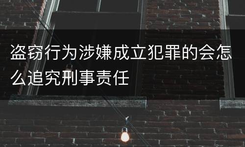 盗窃行为涉嫌成立犯罪的会怎么追究刑事责任