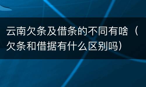 云南欠条及借条的不同有啥（欠条和借据有什么区别吗）