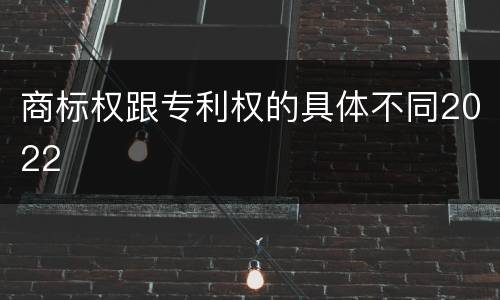 商标权跟专利权的具体不同2022