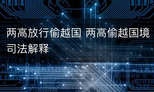 两高放行偷越国 两高偷越国境司法解释