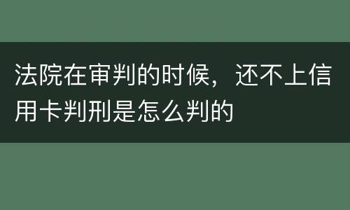 法院在审判的时候，还不上信用卡判刑是怎么判的