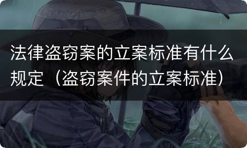 法律盗窃案的立案标准有什么规定（盗窃案件的立案标准）
