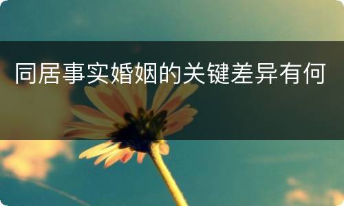 同居事实婚姻的关键差异有何