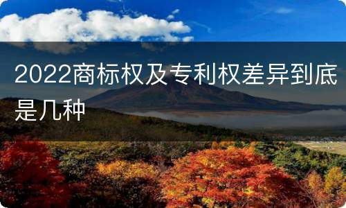 2022商标权及专利权差异到底是几种
