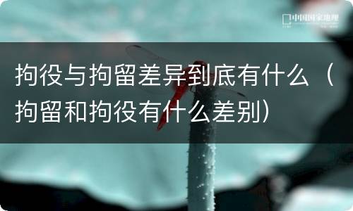 拘役与拘留差异到底有什么（拘留和拘役有什么差别）