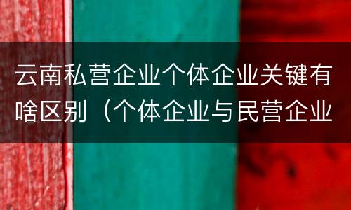 云南私营企业个体企业关键有啥区别（个体企业与民营企业有啥不同）