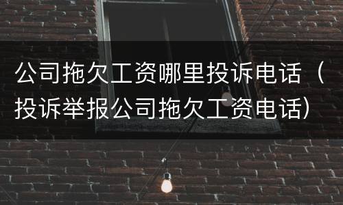 公司拖欠工资哪里投诉电话（投诉举报公司拖欠工资电话）