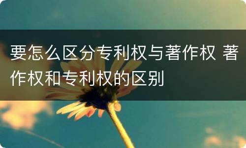 要怎么区分专利权与著作权 著作权和专利权的区别