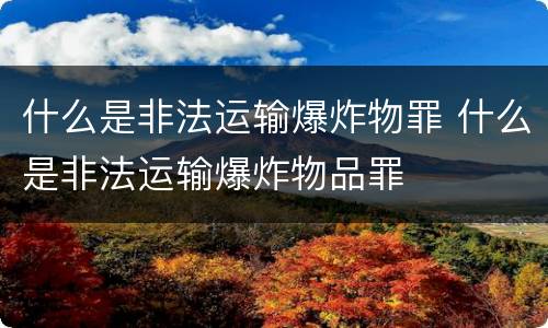 什么是非法运输爆炸物罪 什么是非法运输爆炸物品罪