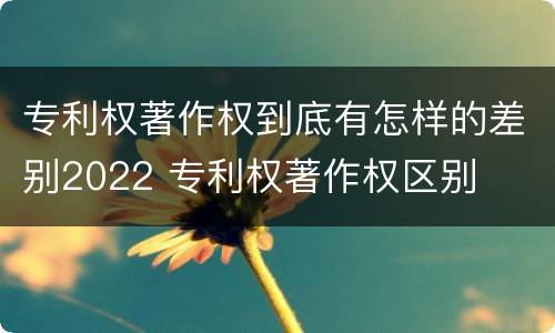 专利权著作权到底有怎样的差别2022 专利权著作权区别