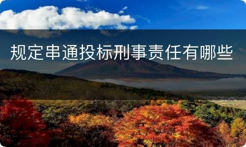 规定串通投标刑事责任有哪些