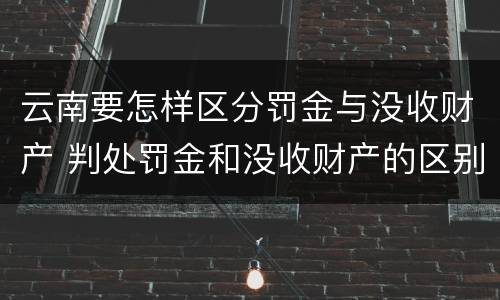 云南要怎样区分罚金与没收财产 判处罚金和没收财产的区别
