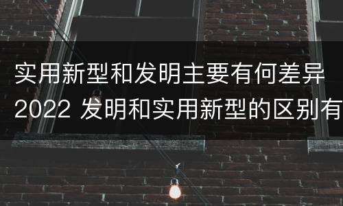 实用新型和发明主要有何差异2022 发明和实用新型的区别有