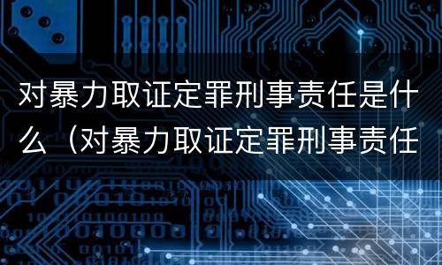 对暴力取证定罪刑事责任是什么（对暴力取证定罪刑事责任是什么处罚）