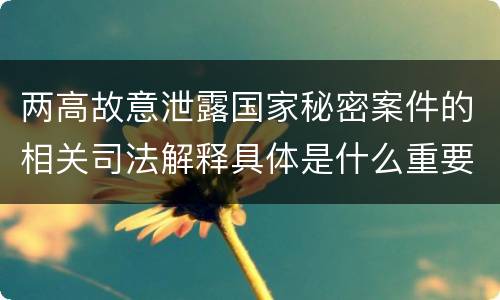 两高故意泄露国家秘密案件的相关司法解释具体是什么重要内容