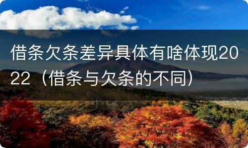 借条欠条差异具体有啥体现2022（借条与欠条的不同）