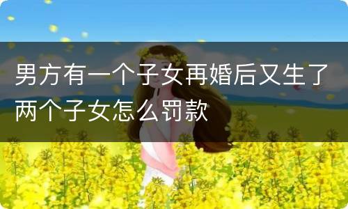 男方有一个子女再婚后又生了两个子女怎么罚款