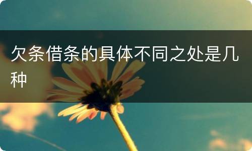 欠条借条的具体不同之处是几种