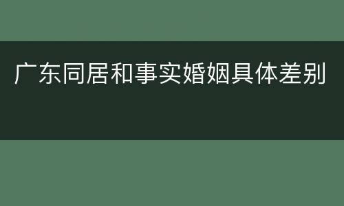 广东同居和事实婚姻具体差别